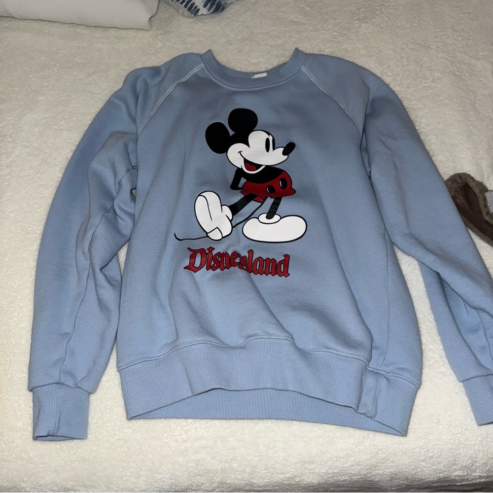 disneyland sweatshirt